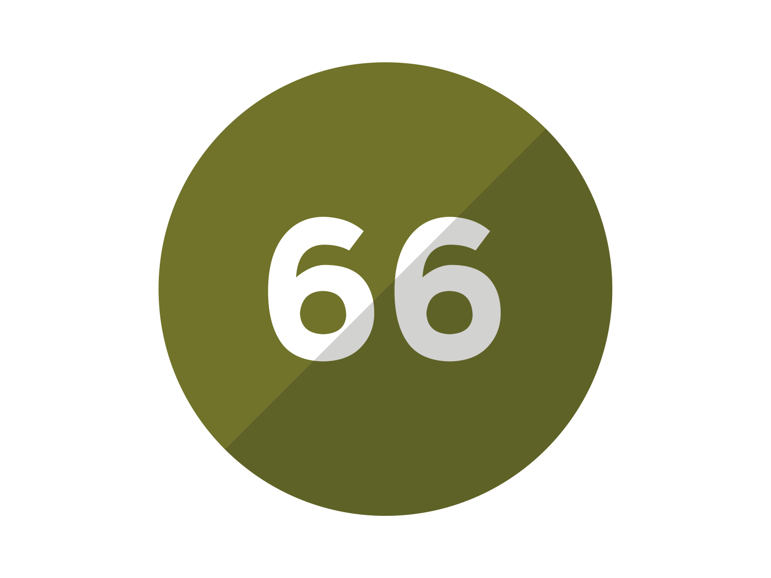 66