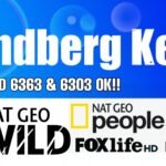 Latest Tendberg Key For SOLID 6363/6303 ,Turksat 3A@42°E Fox Network ok!!