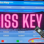 biss key kya hota hai