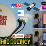 dd free dish channel list 2025, dd free dish channel list 2025 1 April, dd free dish channel list 2025 mpeg2 today, dd free dish channel list 2025 pdf download, dd free dish channel list 2024, dd free dish channel list 2025 mpeg4 today, dd free dish channel list tamil, dd free dish channel list 2022, dd free dish channel list 2022 mpeg2 today, dd free dish channel list april 2023, dd free dish channel list 2025 April, dd free dish new channel list 2025, how to download dd free dish all channel list,dd free dish channel list,dd free dish channel FREQUENCY,FREQUENCY MPEG-2,FREQUENCY MPEG-4,